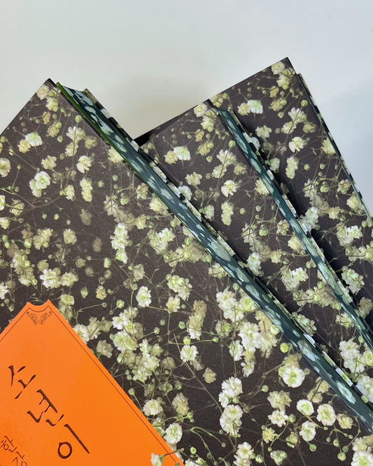 🏅Hand-Painted Edges Han Kang Set ('The Vegetarian' & 'Human Acts') - Quiet Bloom Editions🌿