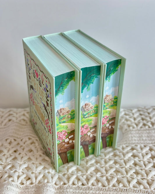 📖 Hand-Painted Edges 'Pride and Prejudice' by Jane Austen – Cottagecore Edition with Love Letters & Roses 🌹✨